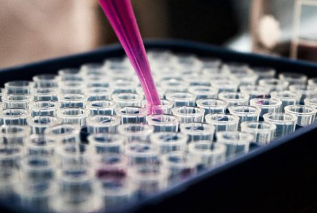 Antimicrobial and Disinfectant-Compatible Plastics