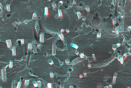 Reinforced Plastics & Composite Polymers